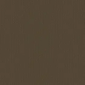 54462-62309 Shaw 54462 Philadelphia Commercial Color Accents Tl 24 Inch X - Timber