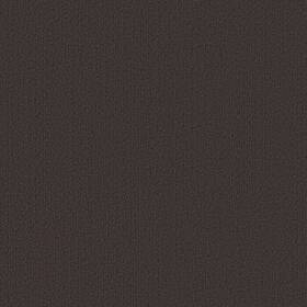Shaw 54462-62500 54462 Philadelphia Commercial Color Accents Tl 24 Inch X - Ebony