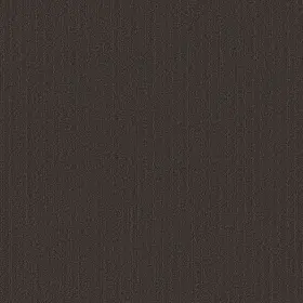 54462-62500 Shaw 54462 Philadelphia Commercial Color Accents Tl 24 Inch X - Ebony