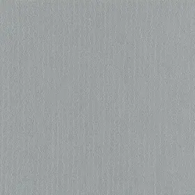 54462-62518 Shaw 54462 Philadelphia Commercial Color Accents Tl 24 Inch X - Sterling