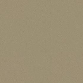 Shaw 54462-62544 54462 Philadelphia Commercial Color Accents Tl 24 Inch X - Lichen