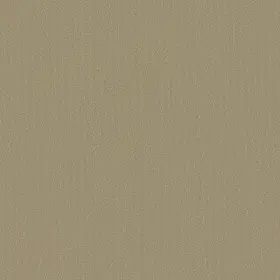 54462-62544 Shaw 54462 Philadelphia Commercial Color Accents Tl 24 Inch X - Lichen