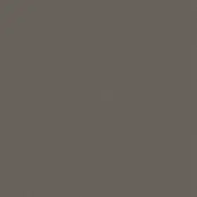 54462-62557 Shaw 54462 Philadelphia Commercial Color Accents Tl 24 Inch X - Dolphin