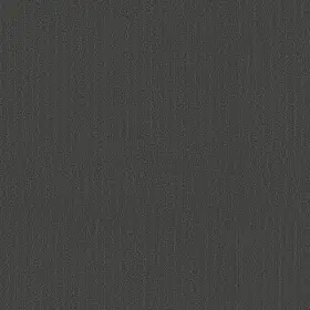 54462-62585 Shaw 54462 Philadelphia Commercial Color Accents Tl 24 Inch X - Gunmetal