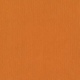 54462-62675 Shaw 54462 Philadelphia Commercial Color Accents Tl 24 Inch X - Orange