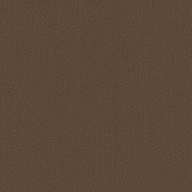 Shaw 54462-62740 54462 Philadelphia Commercial Color Accents Tl 24 Inch X - Suede