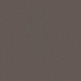 Shaw 54462-62760 54462 Philadelphia Commercial Color Accents Tl 24 Inch X - Beige