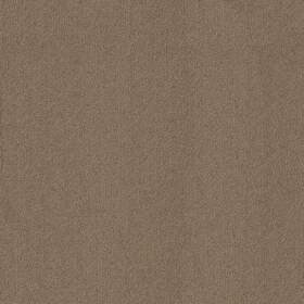 Shaw 54462-62761 54462 Philadelphia Commercial Color Accents Tl 24 Inch X - Portabella