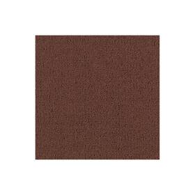 Shaw 54462-62804 54462 Philadelphia Commercial Color Accents Tl 24 Inch X - Wood