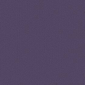 Shaw 54462-62965 54462 Philadelphia Commercial Color Accents Tl 24 Inch X - Plumberry