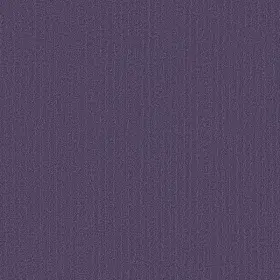 54462-62965 Shaw 54462 Philadelphia Commercial Color Accents Tl 24 Inch X - Plumberry