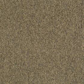 Shaw 54594-00200 54594 Philadelphia Commercial Multiplicity Tile 24 Inch X - Abundance