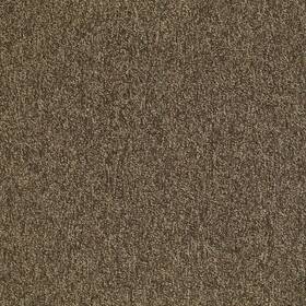 Shaw 54594-00705 54594 Philadelphia Commercial Multiplicity Tile 24 Inch X - Exuberance