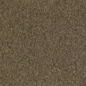 54594-00705 Shaw 54594 Philadelphia Commercial Multiplicity Tile 24 Inch X - Exuberance