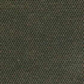 54695-00300 Shaw 54695 Philadelphia Commercial Succession Ii Tl 24 Inch X - Crushed Olive