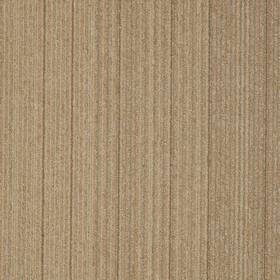 Shaw 54734-34205 54734 Philadelphia Commercial Lucky Break 24 Inch X Glue - Fortunate