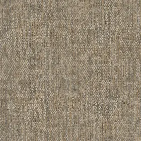 54841-00200 Shaw 54841 Philadelphia Commercial Crazy Smart 18 Inch X 36 Glue - Astute