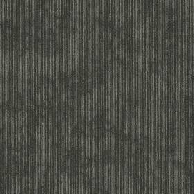 Shaw 54917-00500 54917 Philadelphia Commercial Biotic 24 Inch X Glue Down - Biomimicry