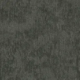 54917-00500 Shaw 54917 Philadelphia Commercial Biotic 24 Inch X Glue Down - Biomimicry