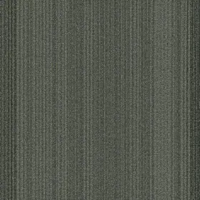 54924-24305 Shaw 54924 Philadelphia Commercial Practical 24 Inch X Glue Down - Systematic