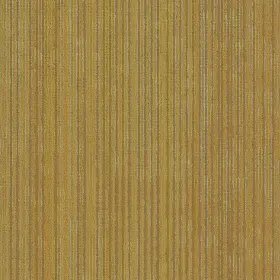 54925-00200 Shaw 54925 Philadelphia Commercial Cipher 18 Inch X 36 Glue Down - Vector