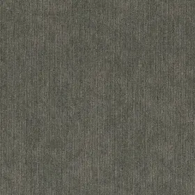 54956-00300 Shaw 54956 Contender 24 Inch X Glue Down Commercial Carpet Tile - Triumph