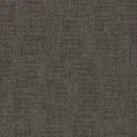54960-00504 Shaw 54960 Authentic 24 Inch X Glue Down Commercial Carpet Tile - Rightful