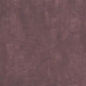 5598v-00900 Shaw 5598v Alchemist 36 Inch X Embossed Vinyl Flooring - Awareness