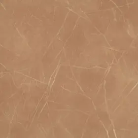 5602v-00600 Shaw 5602v Vecchio 24 Inch X Embossed Vinyl Flooring - Serena