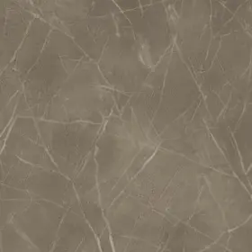 5602v-00702 Shaw 5602v Vecchio 24 Inch X Embossed Vinyl Flooring - Garaffite