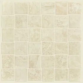 Cs33z Shaw Casino Bw Mosaic Plsh - 2 Inch X Rectangle Basketweave