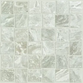 Cs40v Shaw Casino Bw Mosaic - 2 Inch X Rectangle Basketweave