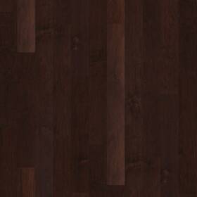 Shaw Sw591-00698 Sw591 Coral Springs 5 Inch W Subtle Scraped Engineered Hardwood - Conway