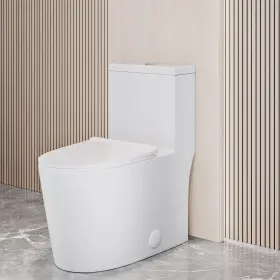 Swiss Madison 810015327296 Dreux High Efficiency One Piece Elongated White