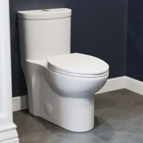 Swiss Madison 810082334548 Sublime One Piece Elongated Toilet Dual Flush Gold Hardware
