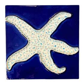 Tcitiles 2527d Starfish Of The Sea Blue And White Ceramic Tile Art 6x6 Inches