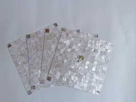 Tpfsh 767810400405 Mother Of Pearl Peel And Stick Backsplash Tiles 12 Inches X I