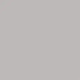 D381603504896 Wilsonart Standard Laminate Sheet 4ftx8ft Stain Resistant In-stock Modern Gray