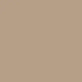 D50603504896 Wilsonart Laminate Sheet 4ft X 8ft For Countertop Solid Standard Matte Khaki Brown