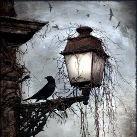 2476 Www.flekmanart.com 12 X Art Bird On A Lantern By Arthur Rackham Backsplash Ceramic Tile #2476