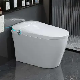 Yulika 730851752956 Smart Toilet With Tank Bidet Auto Dual