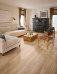 Coretec Luxury Waterproof Vinyl Plank VV012-00761 Calypso Oak New. Price: $120.00.