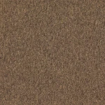 Grainger Approved 31HL69 Carpet TILE,19 11/16 W,coffee New. Price: $195.48.