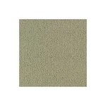 Shaw 54462 Philadelphia Commercial Color Accents Tl 24" X - Beige New. Price: $328.60.
