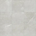 Shaw CS64Z Visionary - 20" Square Floor And Wall Tile Sold By New. Price: $70.02.
