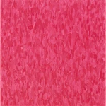 Armstrong 57514031 Vinyl Floor Tiles, 12 W, Shocking New. Price: $83.19.