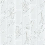 Shaw 251TS Universe - 12" X 24" Rectangle Floor And Wall Tile New. Price: $54.42.