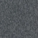Armstrong 57532031 Vinyl Floor Tiles, 12 W, Grayson New. Price: $83.19.