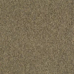Shaw 54594 Philadelphia Commercial Multiplicity Tile 24" X - Abundance New. Price: $171.90.