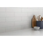 Emser Catch 4 In. X 16 Matte Ice Ceramic Wall Tile (10.83 Sq. Ft./case) New. Price: $38.61.